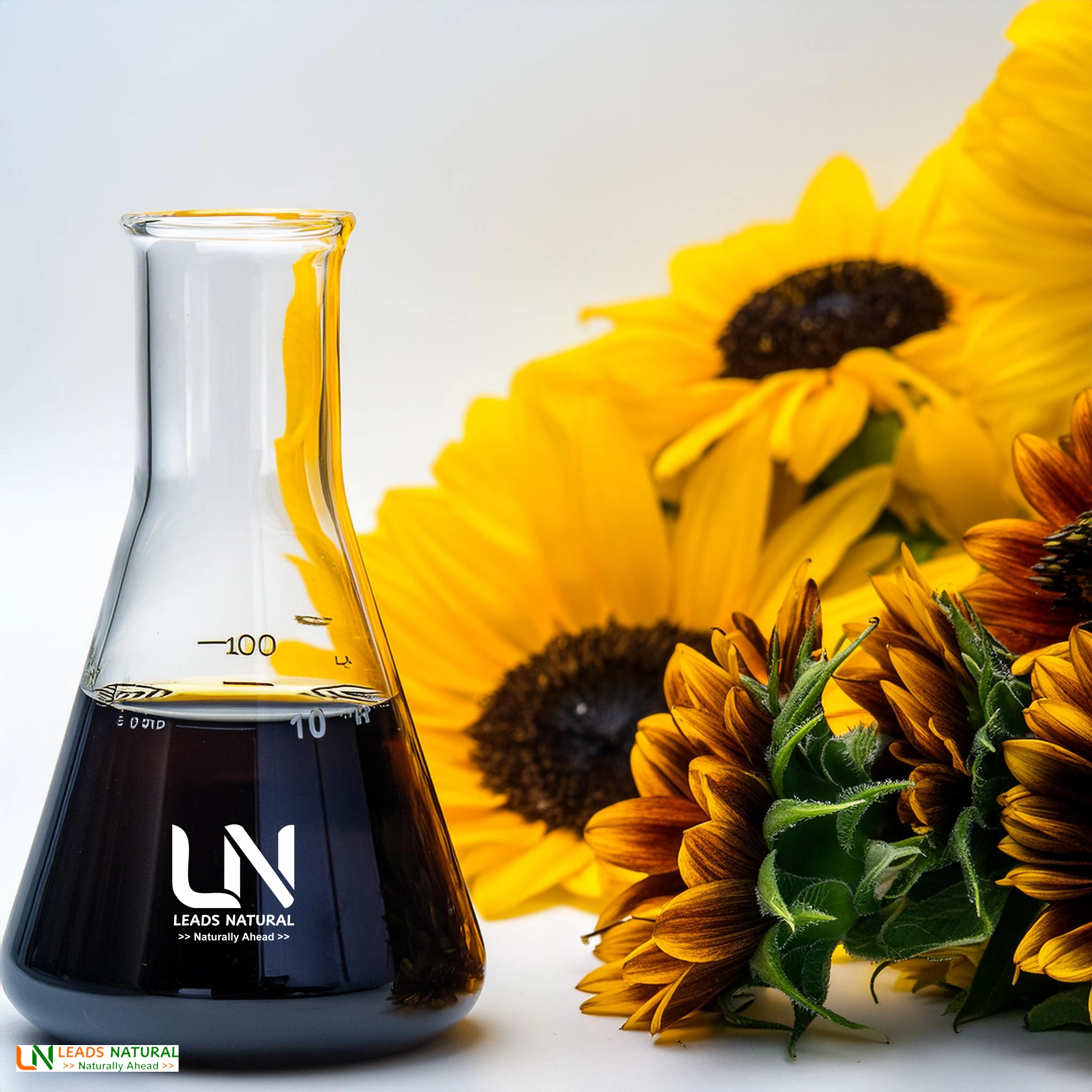 Sunflower Oleoresin